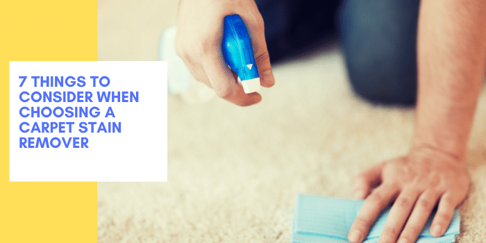 7 Things To Consider When Choosing A Carpet Stain Remover