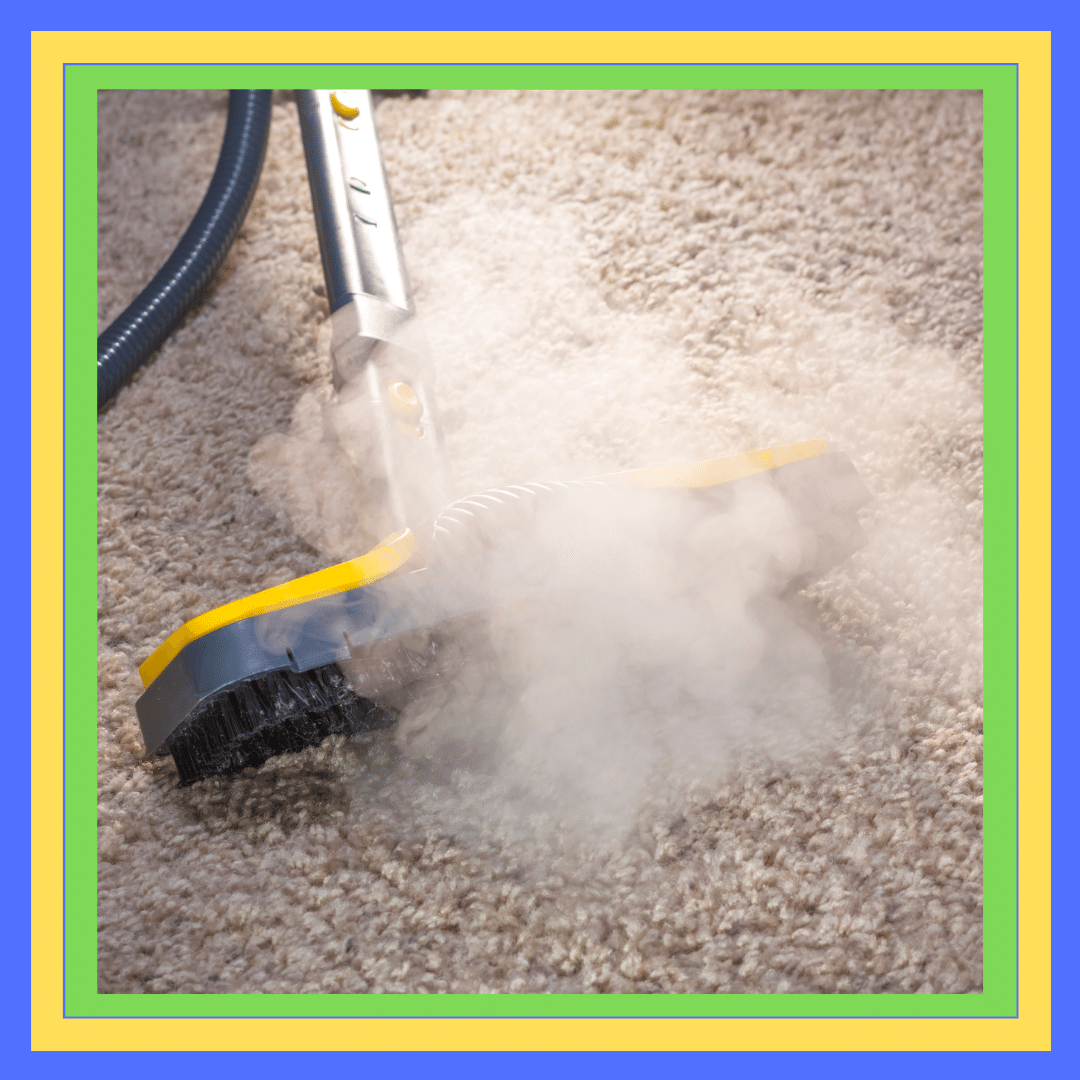 Steam Carpet Cleaning Kelvin Grove