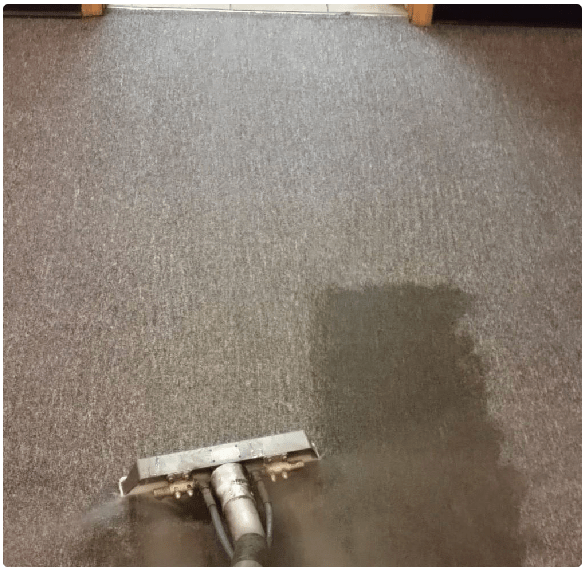 Carpet Cleaning Kelvin Grove